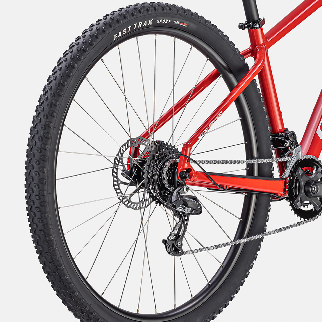 Specialized Rockhopper 29